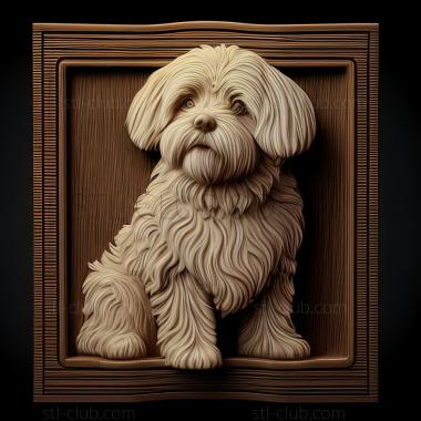 3D model st Bolognese dog (STL)